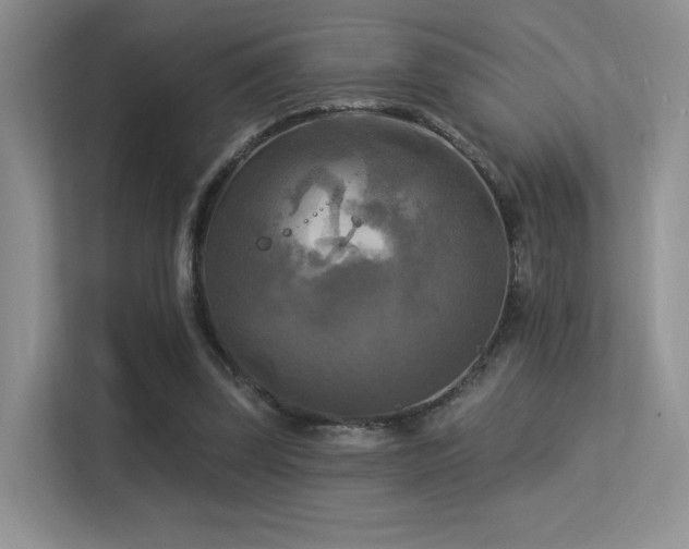 X0000113300347200909141252