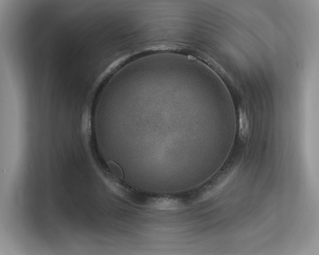 X0000113300348200909141252