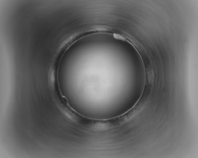 X0000113300350200909141252