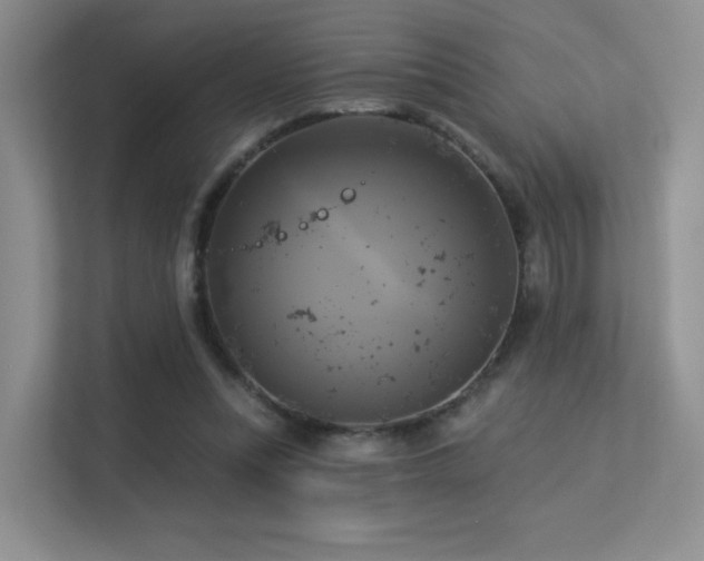 X0000113300351200909141252