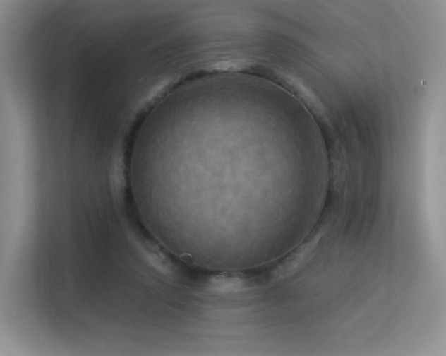 X0000113300354200909141252