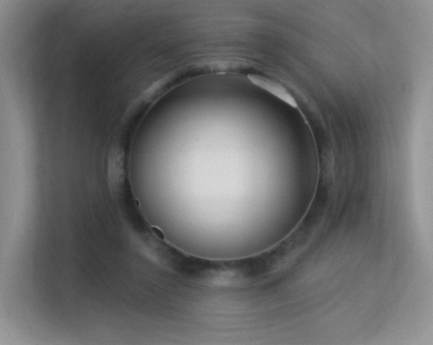 X0000113300356200909141252