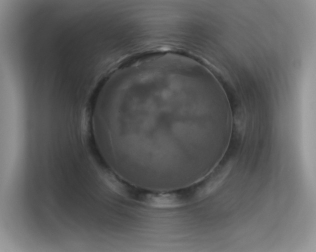 X0000113300359200909141252