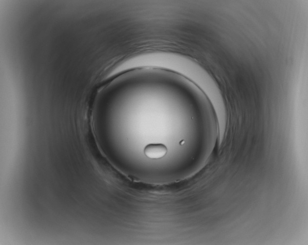 X0000113300360200909141252