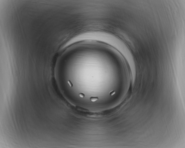 X0000113300362200909141252