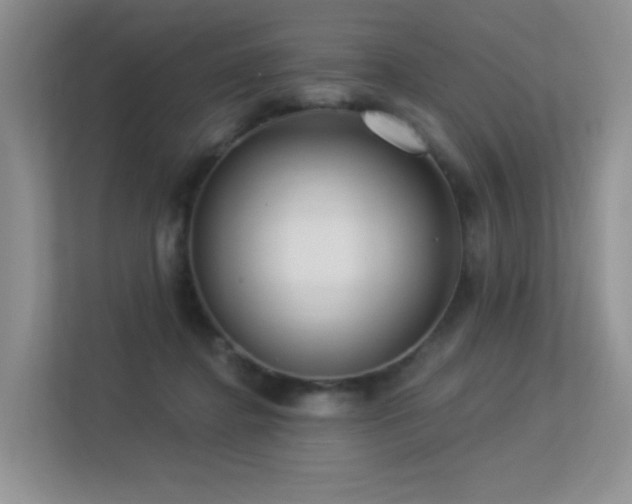 X0000113300364200909141252