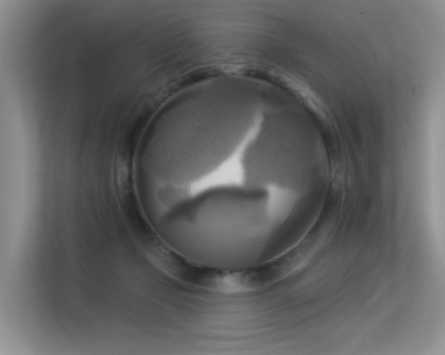 X0000113300365200909141252