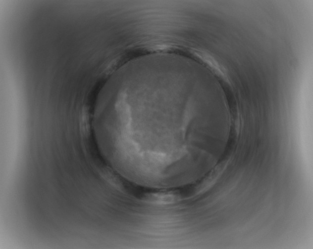 X0000113300366200909141252