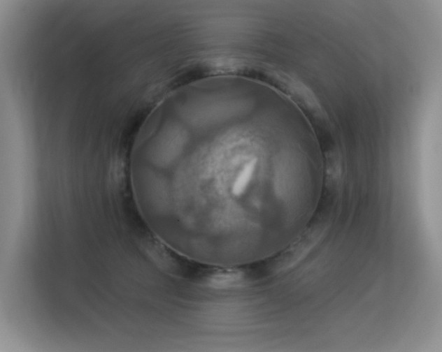 X0000113300369200909141252