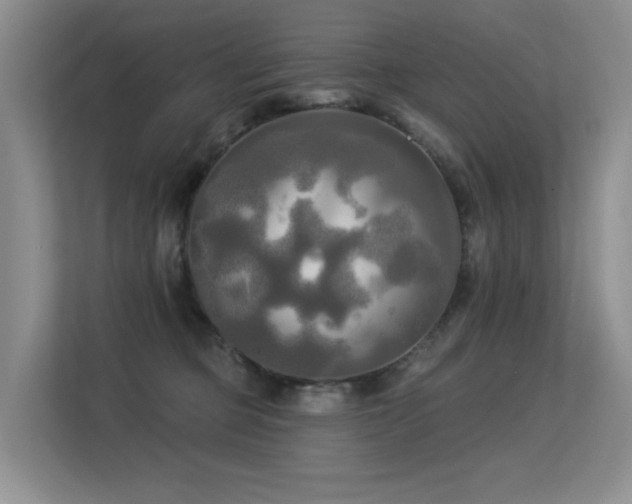 X0000113300373200909141252