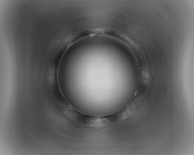 X0000113300379200909141252