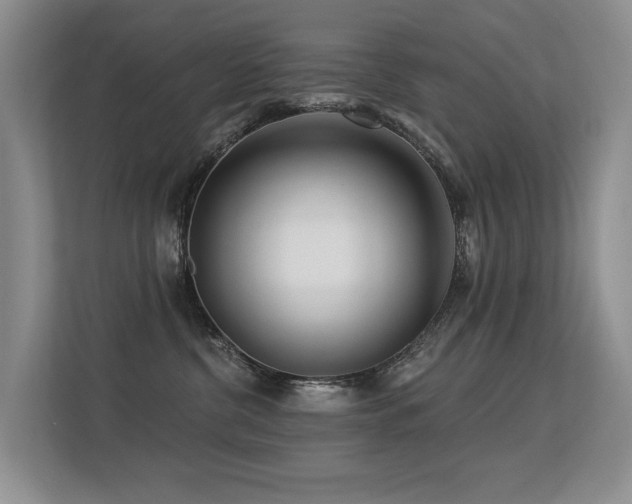 X0000113300380200909141252