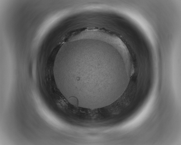 X0000113300382200909141252