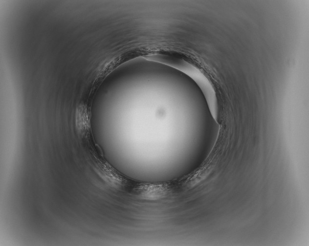 X0000113300384200909141252