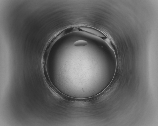 X0000113300389200909141251