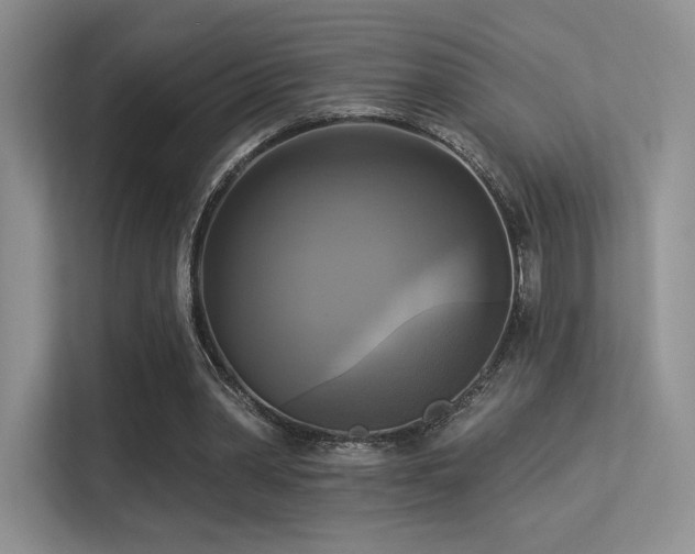 X0000113300390200909141251