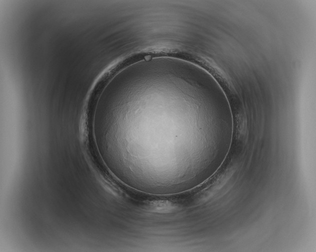 X0000113300392200909141251