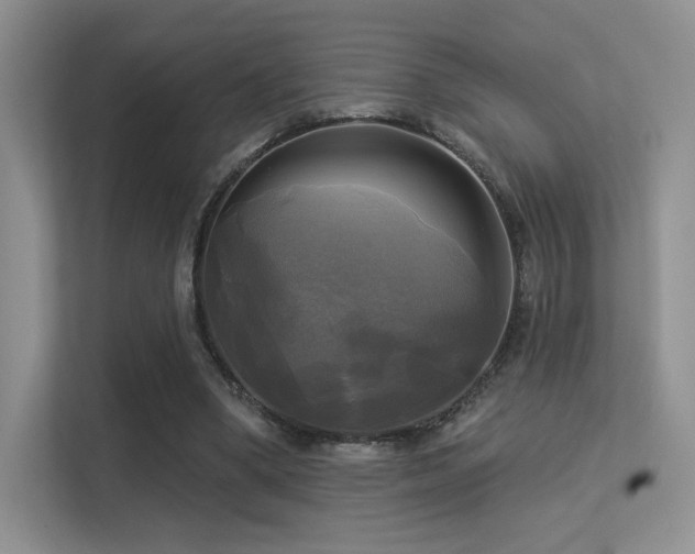 X0000113300394200909141251