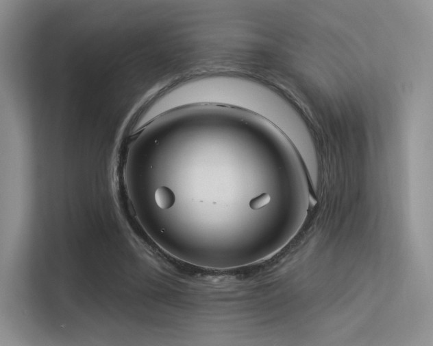 X0000113300395200909141251