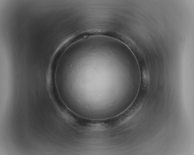 X0000113300396200909141251