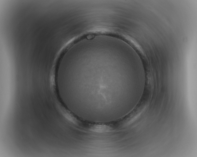 X0000113300399200909141251