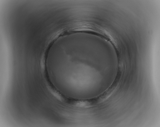 X0000113300402200909141251