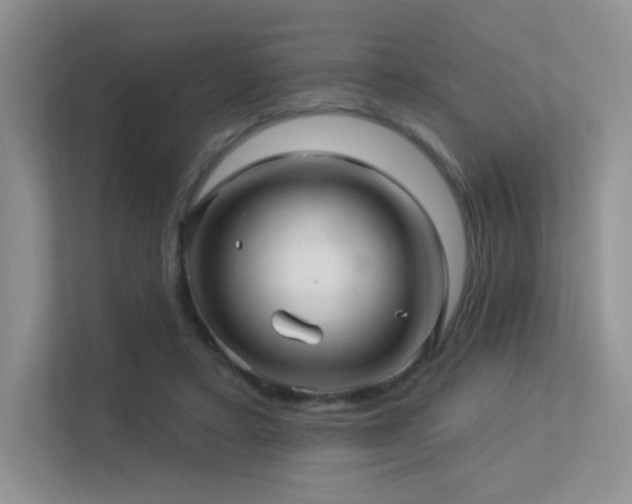 X0000113300403200909141251