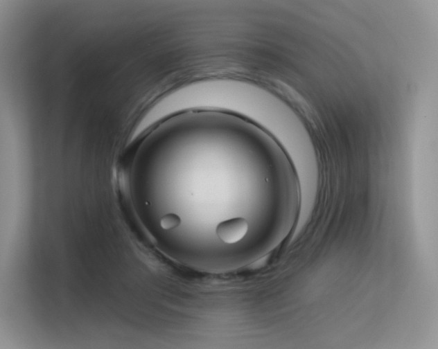 X0000113300405200909141251