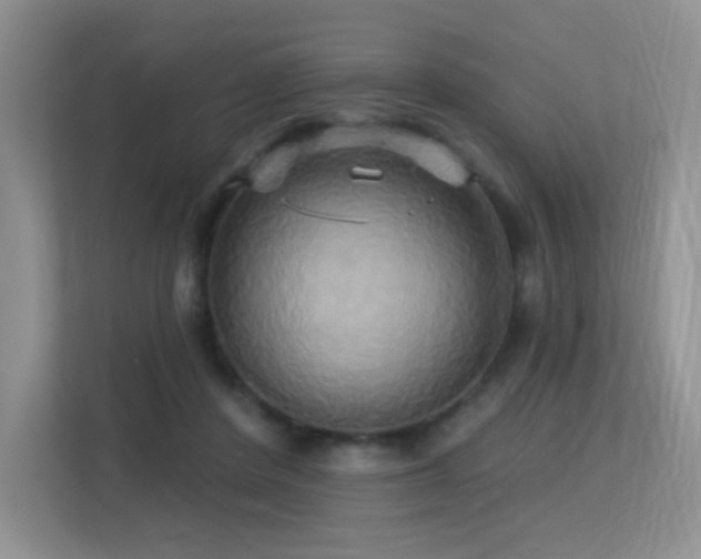 X0000113300408200909141251