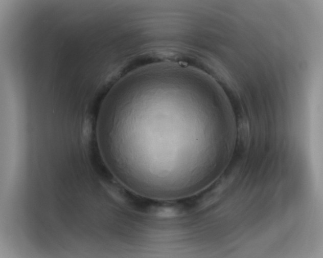 X0000113300412200909141251