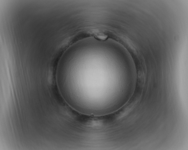 X0000113300416200909141251