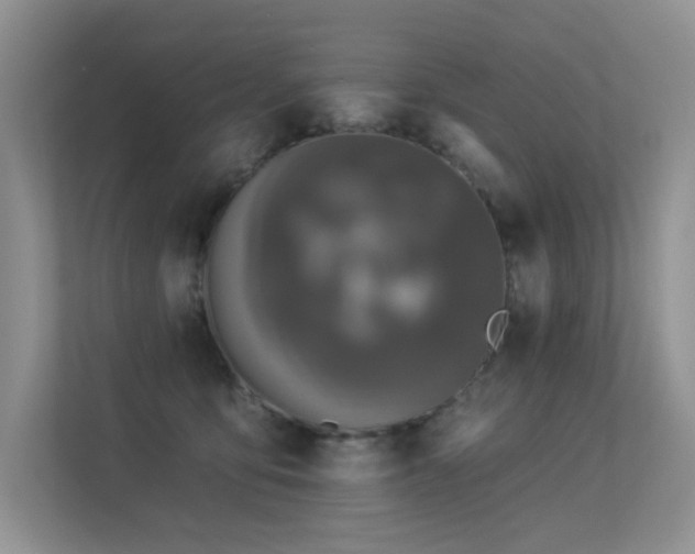 X0000113300419200909141251