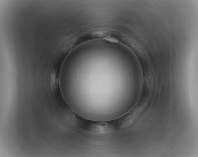 X0000113300420200909141251