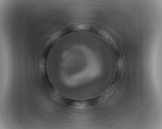 X0000113300423200909141251