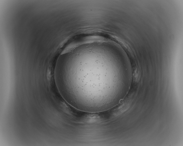 X0000113300424200909141251