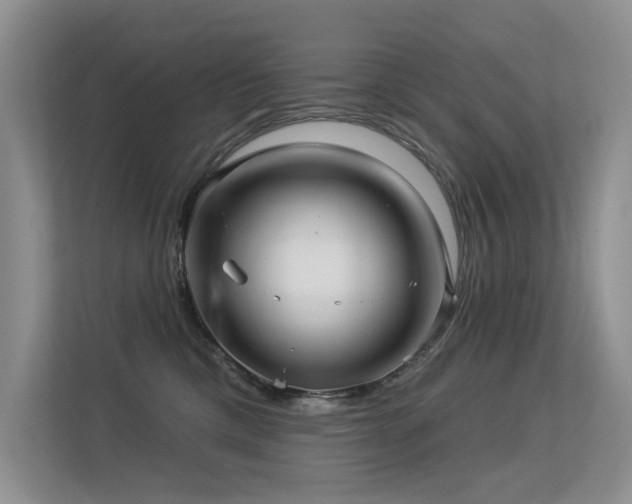 X0000113300425200909141251