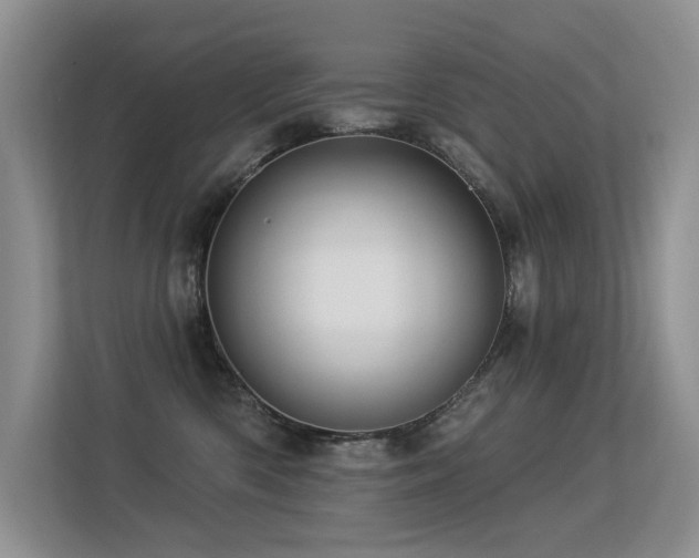 X0000113300426200909141251