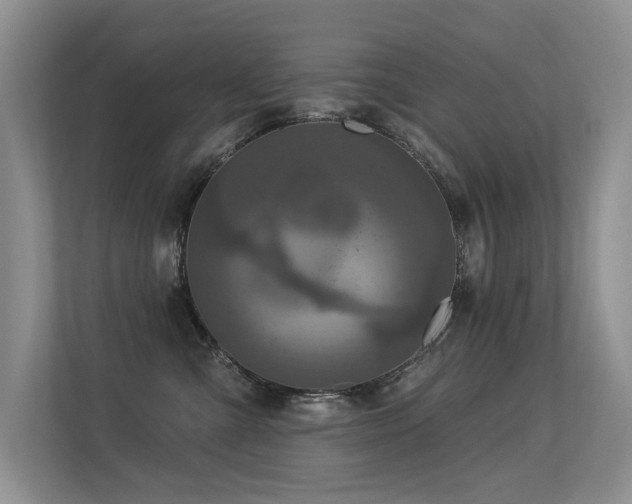 X0000113300427200909141251