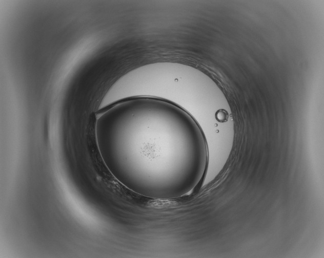 X0000113300429200909141251