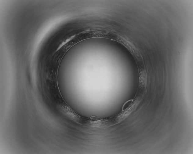 X0000113300430200909141251