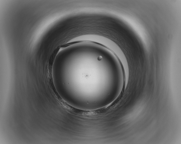 X0000113300431200909141251