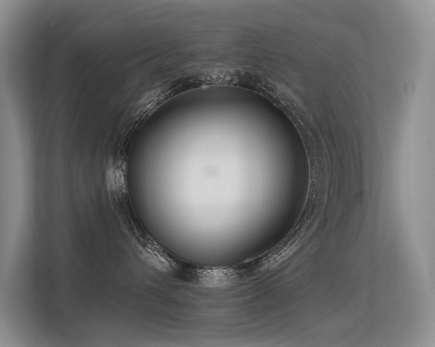 X0000113300432200909141251