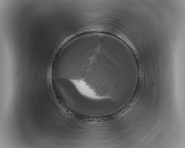 X0000113300434200909141250