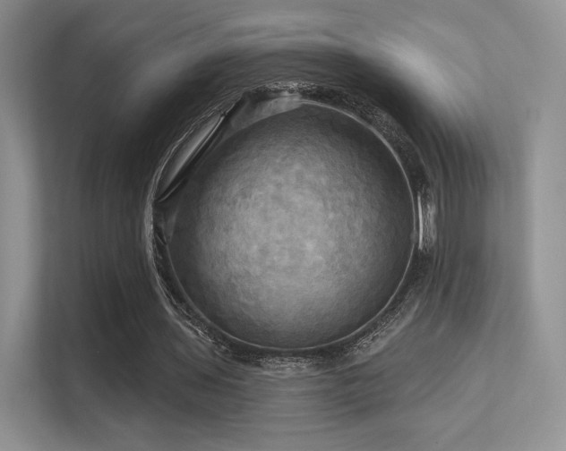 X0000113300435200909141250