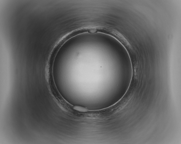 X0000113300436200909141250