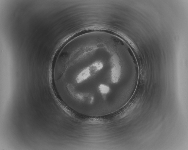 X0000113300437200909141250