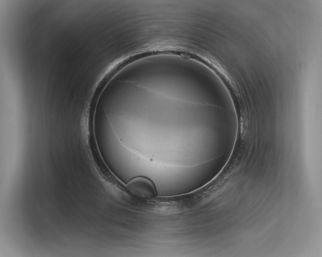 X0000113300438200909141250