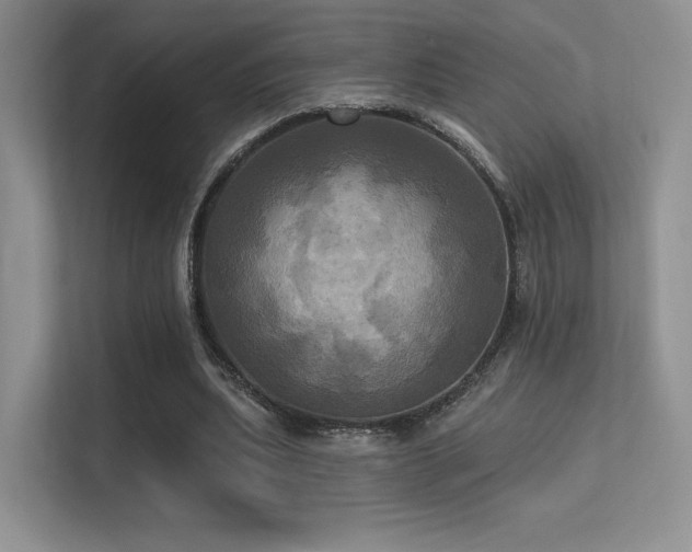 X0000113300439200909141250