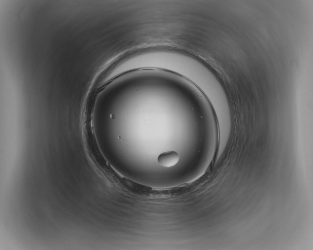 X0000113300440200909141250