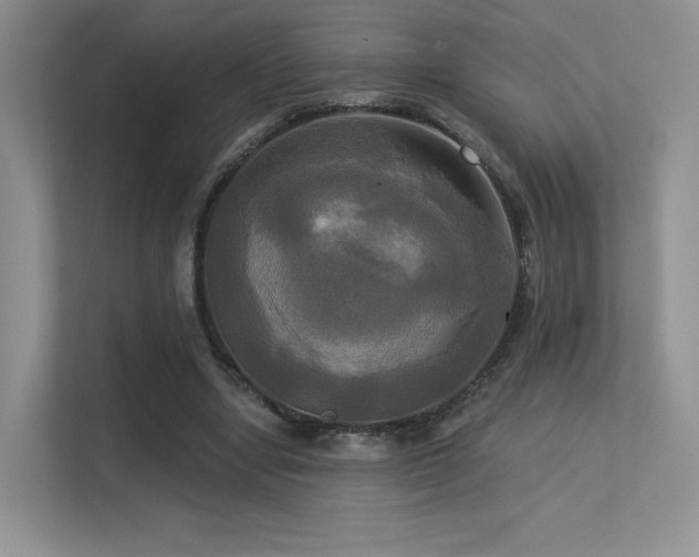 X0000113300442200909141250